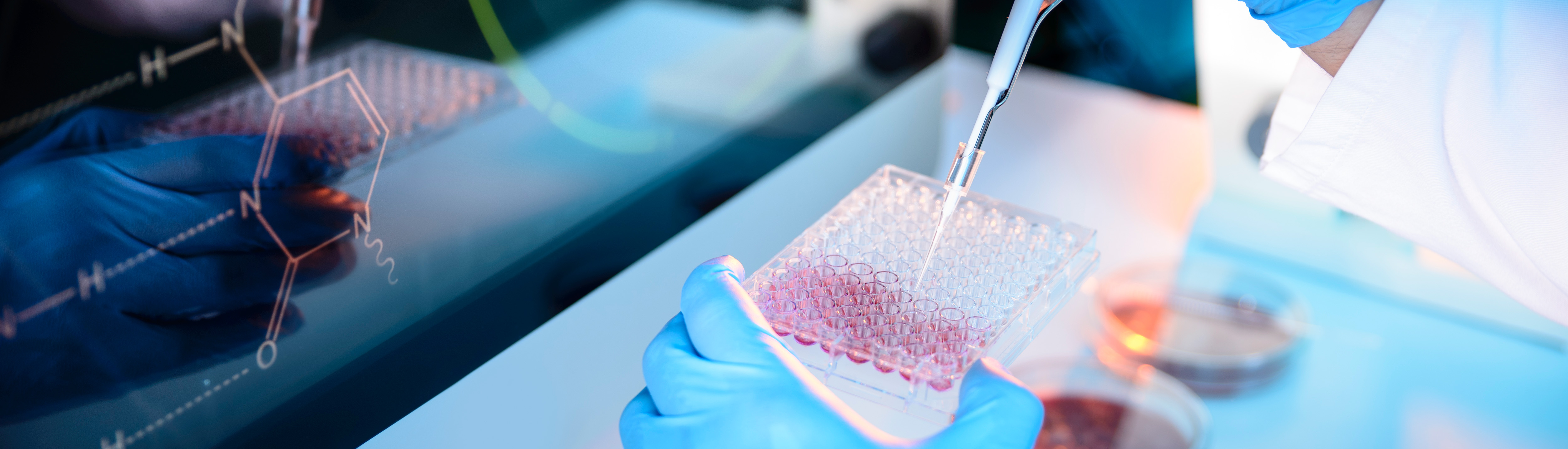 18����luck��(�й�)-�ٷ���վ